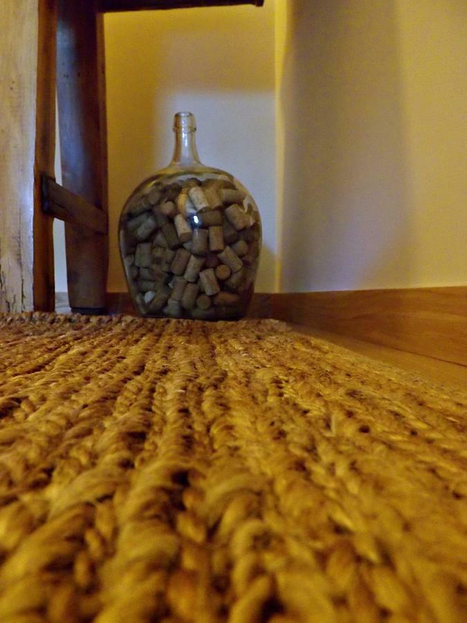 Casa Maximo Lejlighed Penafiel Eksteriør billede