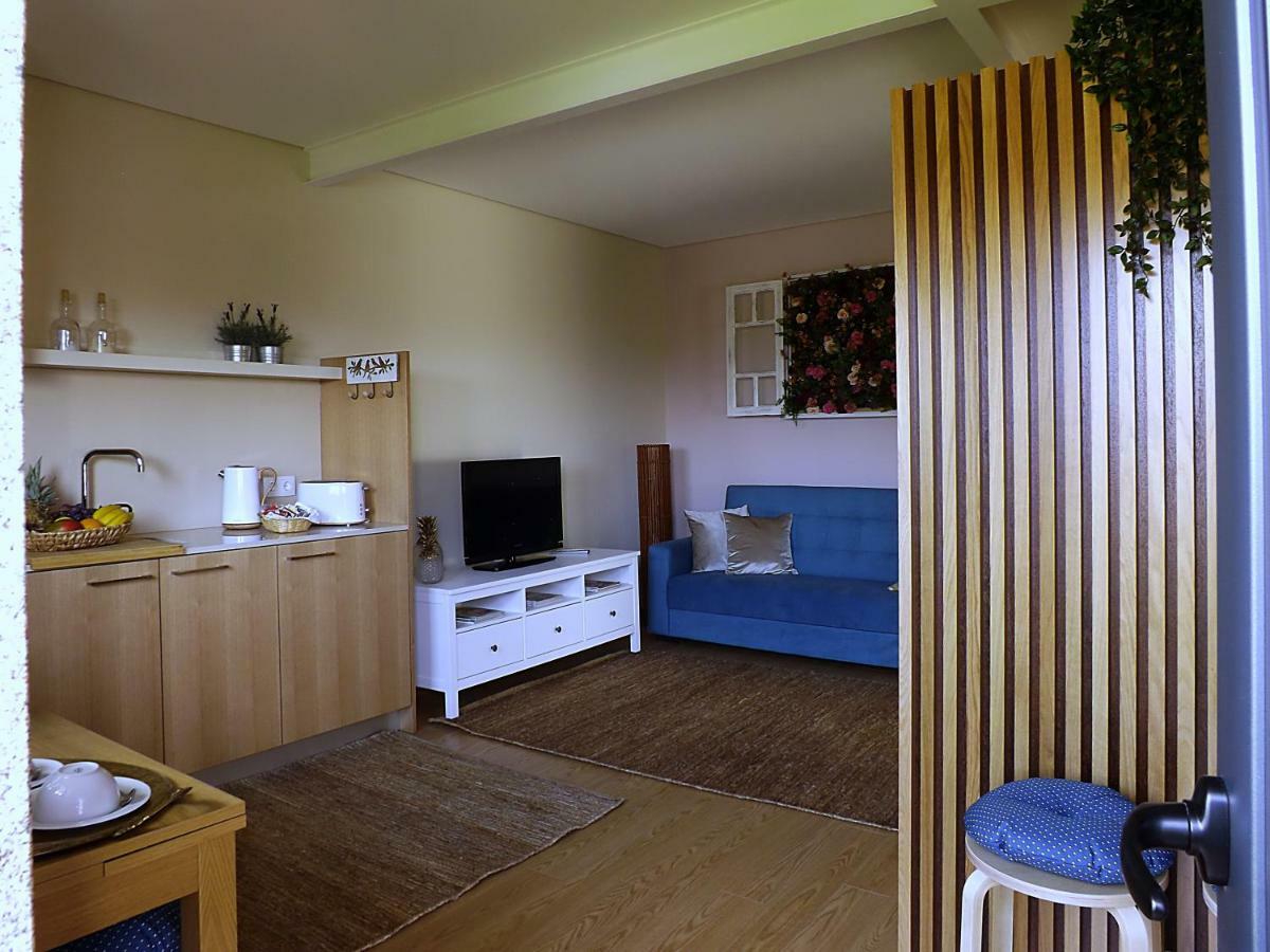 Casa Maximo Lejlighed Penafiel Eksteriør billede