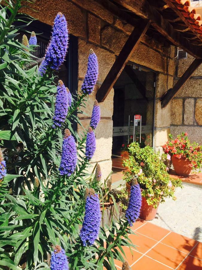 Casa Maximo Lejlighed Penafiel Eksteriør billede